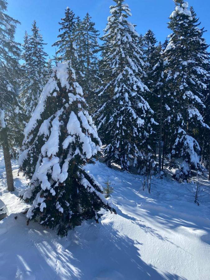 Apartmán Zlatni Dar Žabljak Exteriér fotografie